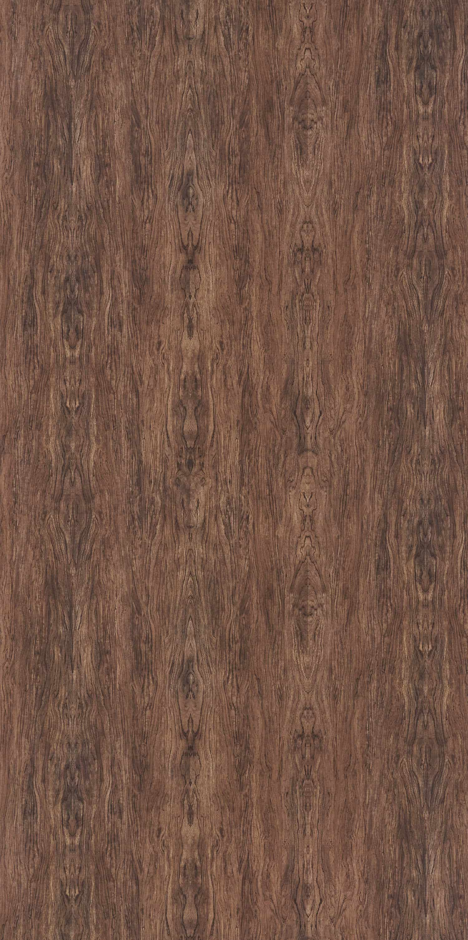 VECTOR BUBINGA
